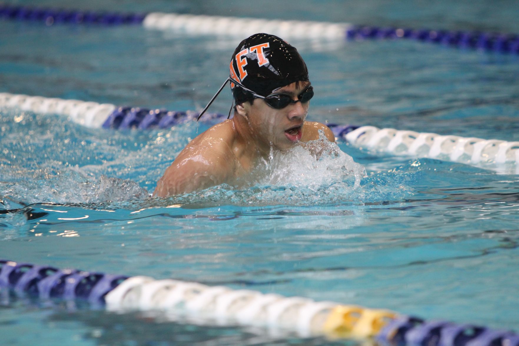swim.jpg